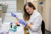Foto: CRIS Contra el Cáncer registró en 2025 un 49% más de personas interesadas en realizar un testamento solidario