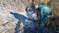 Dos detenidos por provocar un incendio forestal que afectó a la turbera de Padul (Granada)