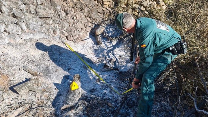 Agentes del Seprona localizaron varios puntos de fuego en un terreno donde los presuntos autores realizaban labores de limpieza y desbroce mediante maquinaria agrícola y quema de restos de residuos vegetales y de madera.