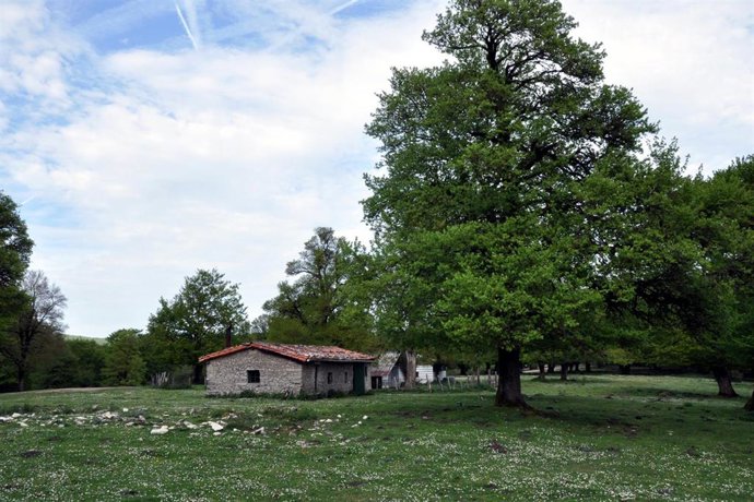Zona de Urbasa