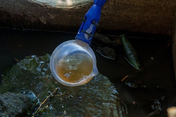 Muestra del Virus del Nilo Occidental (VNO)
