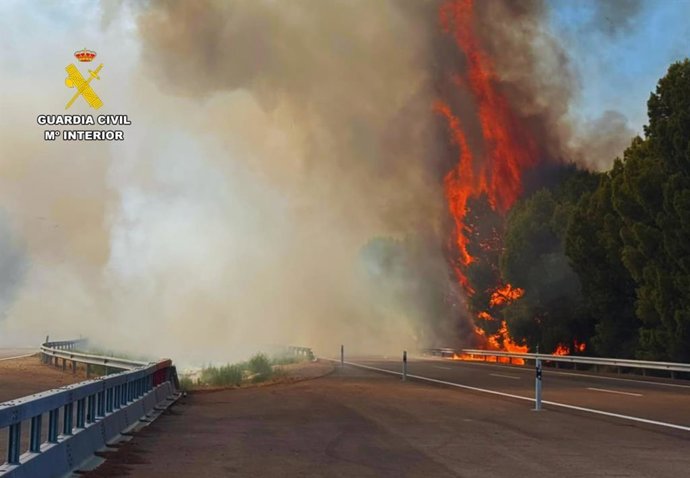 Incendio en la AP-2, a la altura de Osera de Ebro (Zaragoza).
