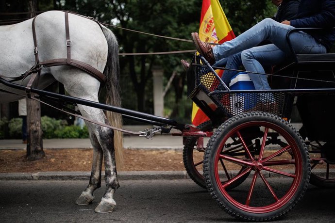 Archivo - Un hombre en coche de caballos en imagen de archivo. 