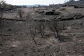 La Junta suma 90 localidades de Ávila, León, Segovia y Soria al listado de beneficiarios de ayudas por fuego