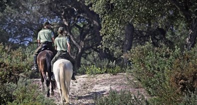 Es Andalucía - Sevilla