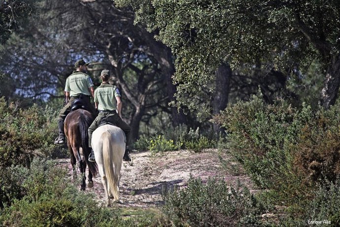 Imagen de un agente medioambiental de la Junta de Andalucía.