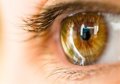 Experta aconseja mantener una buena hidratación ocular para reducir el riesgo de complicaciones