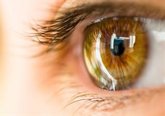 Foto: Experta aconseja mantener una buena hidratación ocular para reducir el riesgo de complicaciones
