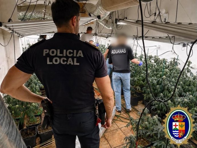 Archivo - La Policía Local de Padul, junto a la Guardia Civil y el Servicio de Vigilancia Aduanera, ha llevado a cabo en los tres últimos meses actuaciones que han permitido intervenir de más de 1.500 plantas de marihuana cultivadas en el interior de vivi