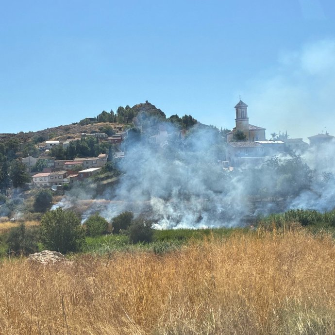 Movilizados medios terrestres y aéreos por un incendio de vegetación junto al casco urbano de Calasparra