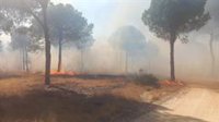 Extinguidos dos incendios forestales declarados en parajes de Moguer y Lucena del Puerto (Huelva)