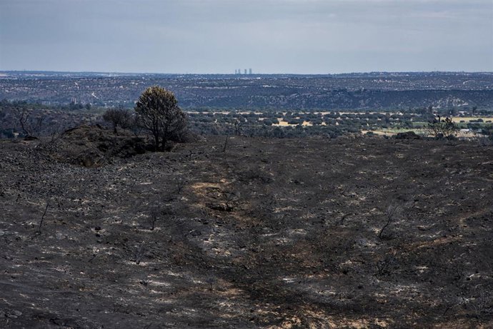 Vista tras el incendio, a 4 de agosto de 2026, en Villa del Prado, Madrid (España). La presidenta de la Comunidad de Madrid, Isabel Díaz Ayuso, ha anunciado este martes que el futbolista Leo Messi ha donado 80.000 euros para la reconstrucción de la Sierra