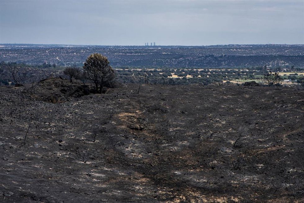 Vista tras el incendio, a 4 de agosto de 2026, en Villa del Prado, Madrid (España). La presidenta de la Comunidad de Madrid, Isabel Díaz Ayuso, ha anunciado este martes que el futbolista Leo Messi ha donado 80.000 euros para la reconstrucción de la Sierra
