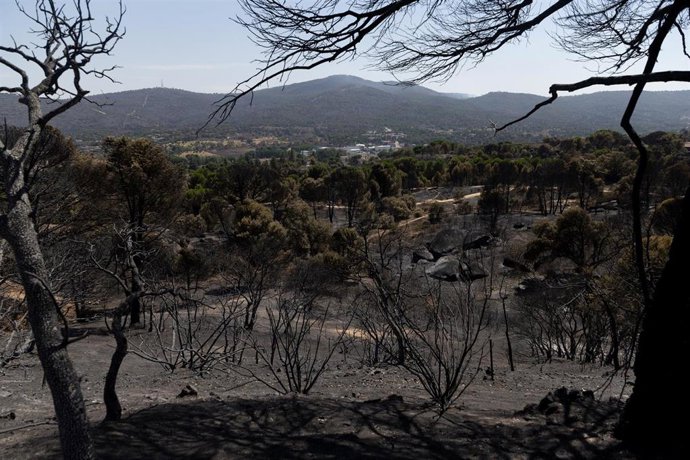 Zonas calcinadas tras el paso del incendio de la Sierra Oeste de Madrid, a 30 de julio de 2026, en Pelayos de la Presa, Madrid (España). La Comunidad de Madrid ha recuperado el control del operativo contra el incendio forestal de la Sierra Oeste, que ya n