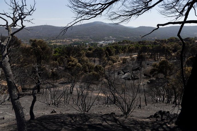 Áreas devastadas pelo incêndio na Serra Oeste de Madri, em 30 de julho de 2026, em Pelayos de la Presa, Madri (Espanha). A Comunidade de Madri retomou o controle das operações de combate ao incêndio florestal na Serra Oeste, que já n