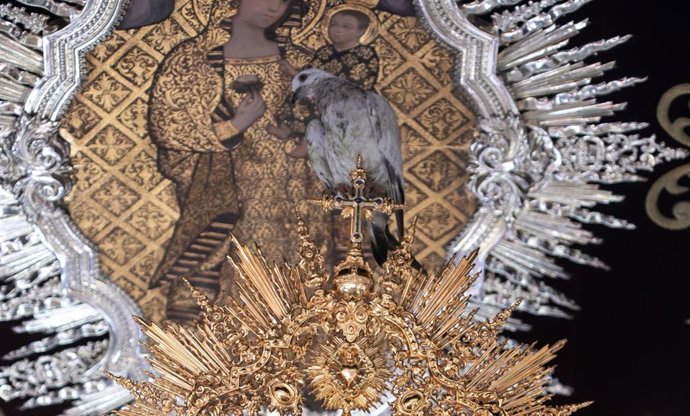 Imagen de archivo. Paloma posada en la corona de la Virgen durante una procesión de Semana Santa.