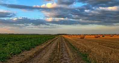 EpAgro - Agricultura