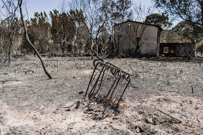 Vista una semana después de que llegara el fuego, a 1 de agosto de 2026, en La Adrada, Castilla y León (España). 