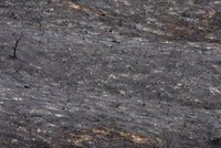 La Fundación Alicia Koplowitz dona 150.000 euros a la reconstrucción de la Sierra Oeste tras el incendio