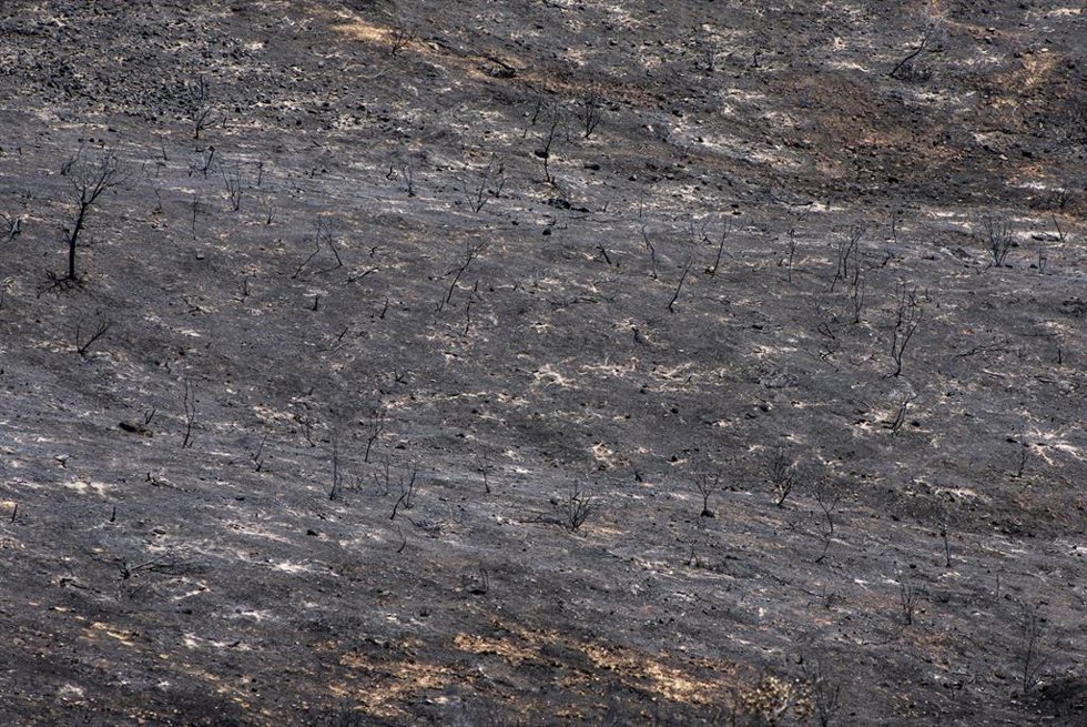 Vista tras el incendio, a 4 de agosto de 2026, en Villa del Prado, Madrid (España).   