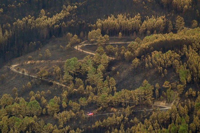 Archivo - Vista tras el incendio, a 28 de agosto de 2025, en Villamayor, San Antolín de Ibias, Asturias (España). 