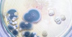 Investigación