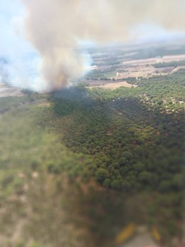 Incendio declarado este miércoles en el paraje Santa Catalina de Lucena del Puerto.
