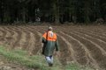 CyL fija en 6 el cupo por cazador y día para tórtola que se podrá cazar sábados y domingos desde el 29 de agosto
