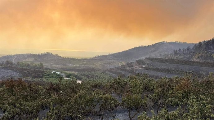 El incendio de Sierra de Espadán arrasa la finca de Tropitop y activa una campaña de recuperación