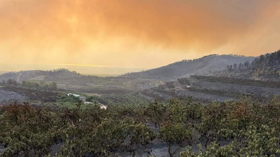 El incendio de Sierra de Espadán arrasa la finca de Tropitop y activa una campaña de recuperación