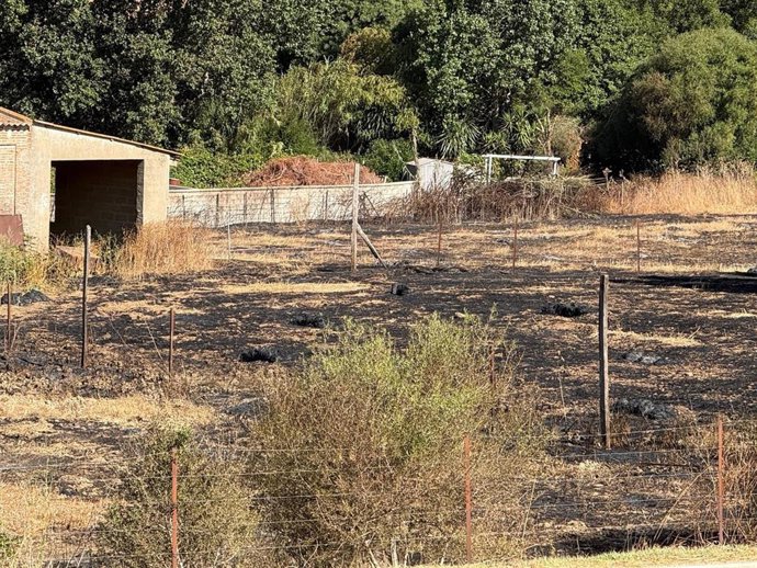 Terreno quemado por un incendio en la zona de Pasada Honda en San Roque (Cádiz).