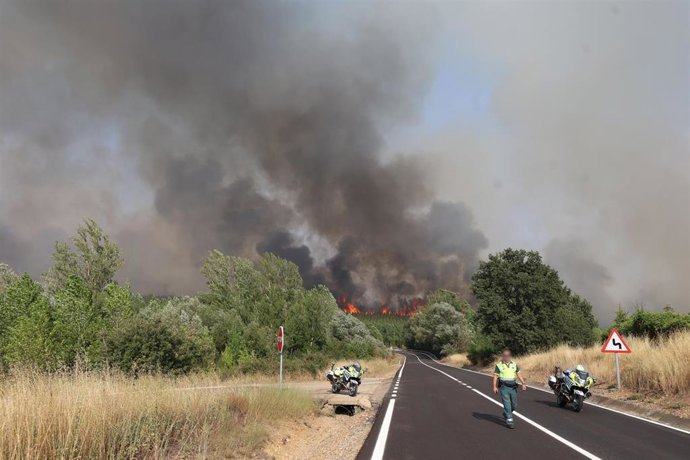 Un agente de la Guardia Civil corta la carretera, a 29 de julio de 2026, en San Cipriano.