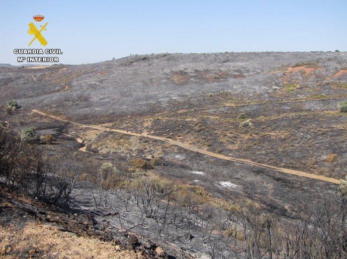 Dos personas investigadas por provocar el incendio de Cabezarrubias del Puerto que quemó 28,5 hectáreas.