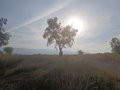 La Ribera del Ebro en La Rioja vuelve a estar este viernes en aviso amarillo ante el ascenso de temperaturas