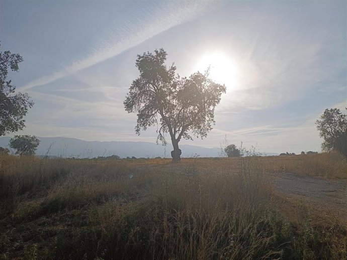 Se esperan máximas de 36 grados en La Ribera del Ebro en La Rioja