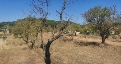 EpAgro - Agricultura
