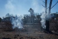 Lucena del Puerto (Huelva) vive "días difíciles" con la oleada de incendios y mantiene vigilancia "constante"