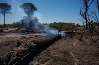 El Infoca da por estabilizado el quinto incendio forestal en 15 días en Lucena del Puerto (Huelva)