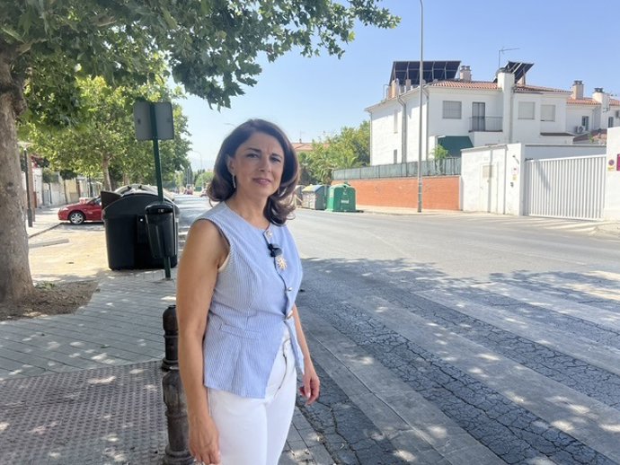 Ruz en la avenida Pedro Machuca del barrio de La Paz en el distrito Norte, a la altura del paso de peatones frente al centro La Purísima