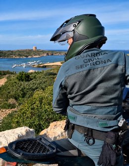 Maltrato animal en Menorca: encuentran dos caballos muertos y el cadáver de una oveja descomponiéndose.