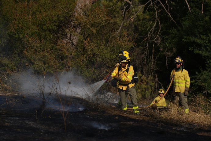Efectivos del Infoca trabajan en la extinción de un incendio declarado en Camas (Sevilla). A 17 de julio de 2026 en Camas, Sevilla (Andalucía, España).