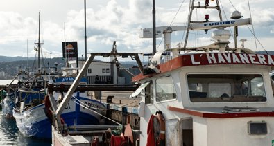 EpAgro - Pesca