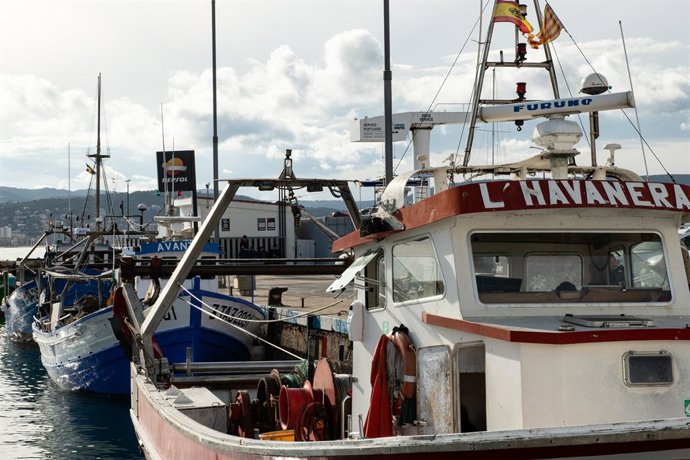 Archivo - Varios barcos de pesca, 