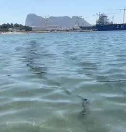 Restos de posibles hidrocarburos denunciados por el Ayuntamiento de San Roque en su litoral.