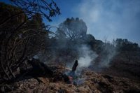 Medios aéreos se suman a las labores de extinción del incendio de Lucena (Huelva) al reactivarse pequeños focos