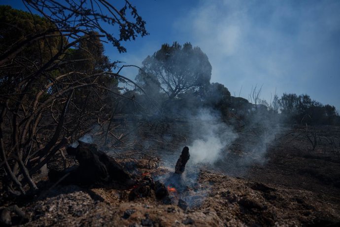 Áreas afetadas pelo incêndio florestal que se alastrou no município de Lucena del Puerto (Huelva). Em 6 de agosto de 2026, em Lucena del Puerto, Huelva (Andaluzia, Espanha). Cerca de trinta membros do Plano Infoca trabalharam durante a madrugada 