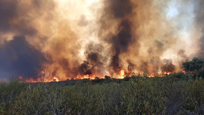 Archivo - Incendio forestal en el puerto del Calatraveño, término de Alcaracejos, en la provincia cordobesa, en agosto de 2021.
