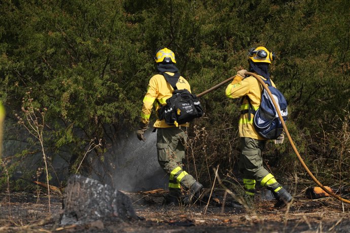 Efectivos del Infoca trabajan en la extinción de un incendio declarado en Camas (Sevilla). A 17 de julio de 2026 en Camas, Sevilla (Andalucía, España).