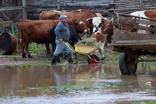 Concepción Domingo 2 de agosto de 2026  El río Andalién se desbordó a la altura del sector Chaimávida en la comuna de Concepción provocando la inundación de amplios sectores y la evacuación de quienes ahí vive Sin embargo muchos no quisieron salir de sus