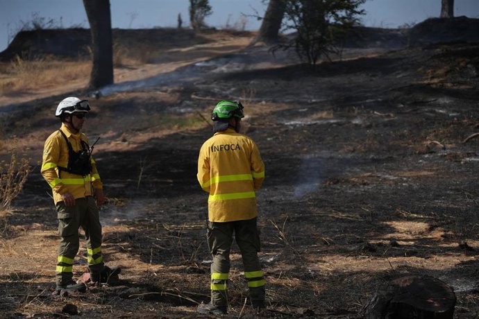 Efectivos del Infoca trabajan en la extinción de un incendio en Camas (Sevilla) en una imagen de archivo